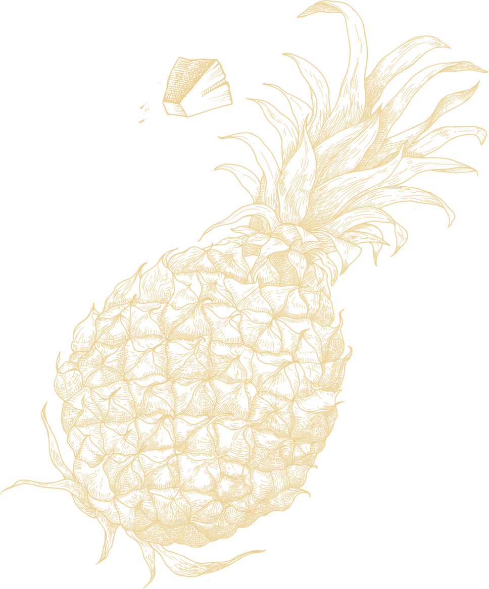 A detailed line drawing of a whole pineapple with a single small wedge cut out and placed above it, reminiscent of the artistry found on sustainably grown chocolate packaging. | Trinitario